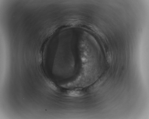 X0000112470471200909141122