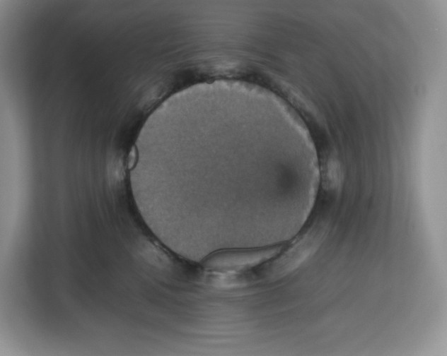 X0000112470472200909141122
