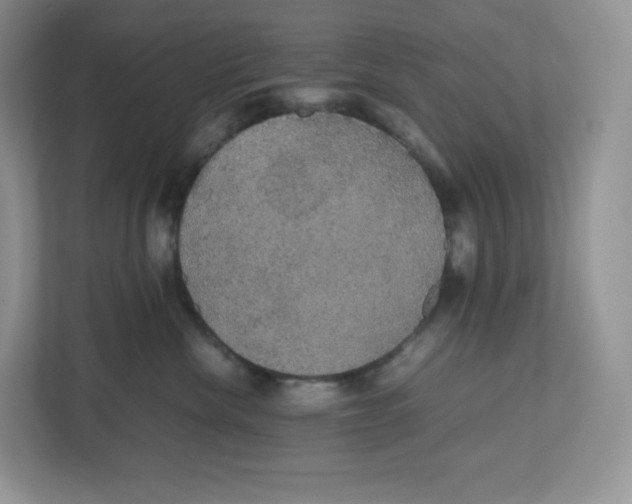 X0000112470476200909141122