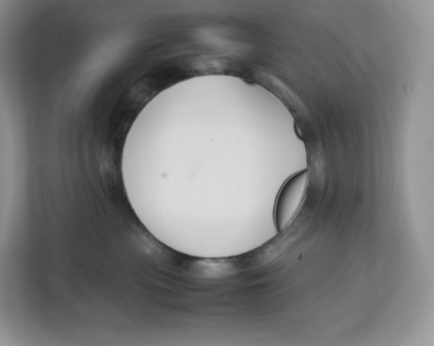X0000112470477200909141122