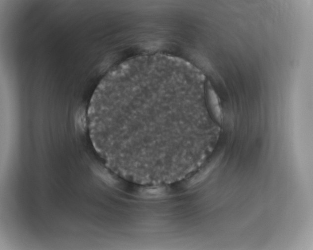 X0000112470479200909141122