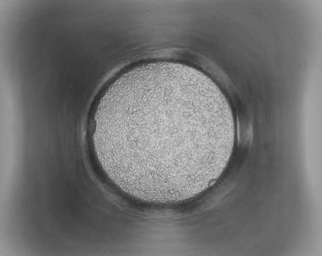 X0000112470483200909141121