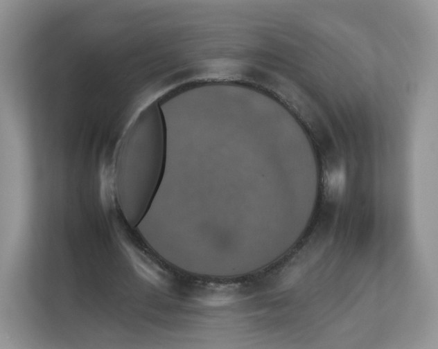 X0000112470484200909141121