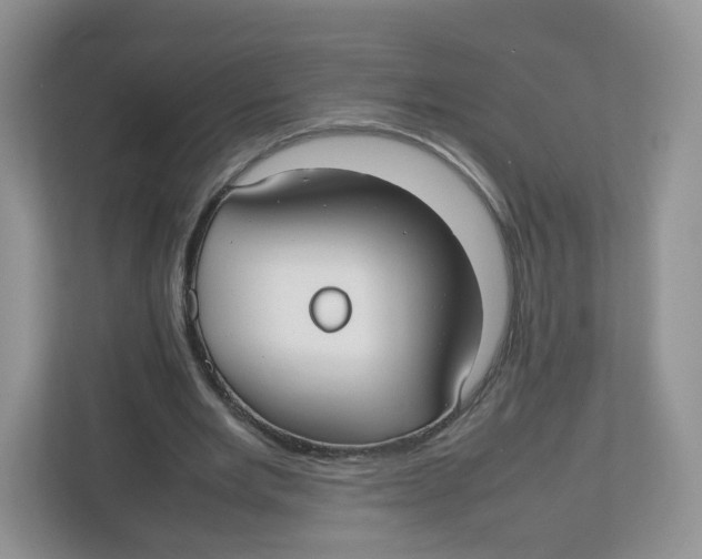 X0000112470485200909141121