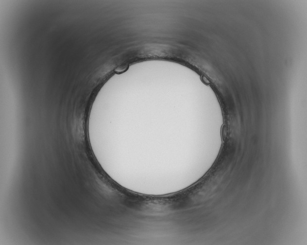 X0000112470489200909141121