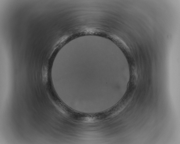X0000112470496200909141121