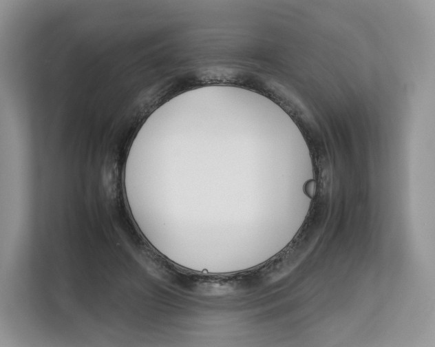 X0000112470498200909141121