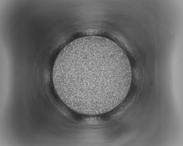 X0000112470499200909141121
