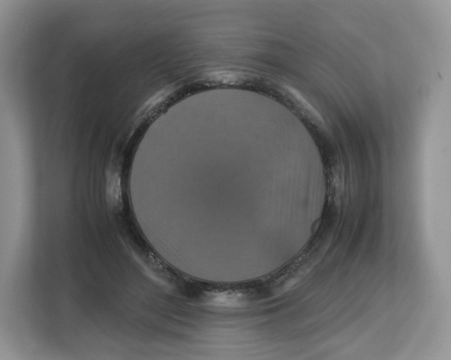 X0000112470500200909141121