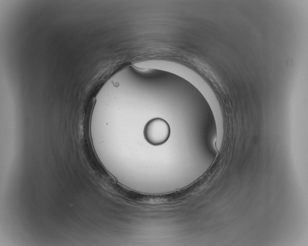 X0000112470501200909141121