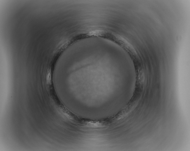 X0000112470502200909141121