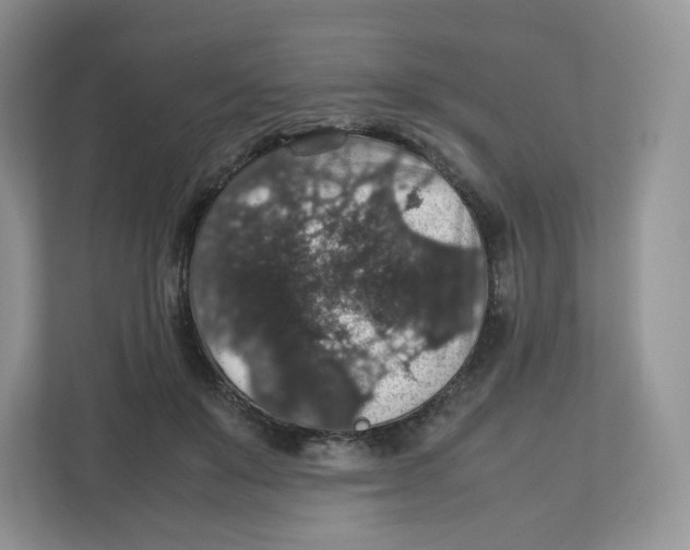 X0000112470503200909141121