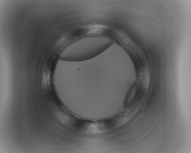 X0000112470504200909141121