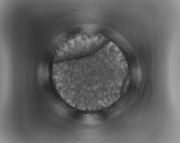 X0000112470508200909141121