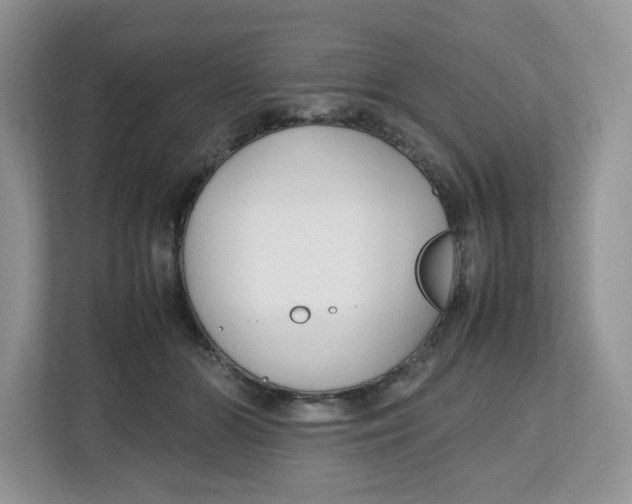 X0000112470510200909141121