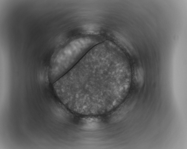 X0000112470512200909141121