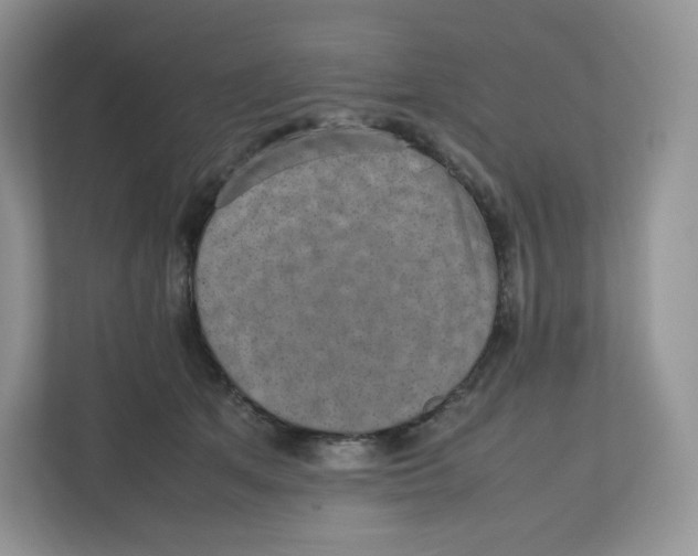 X0000112470513200909141121