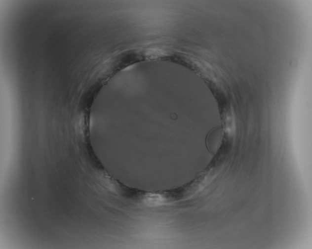 X0000112470519200909141121