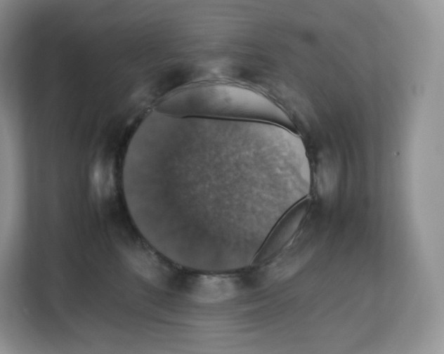 X0000112470520200909141121