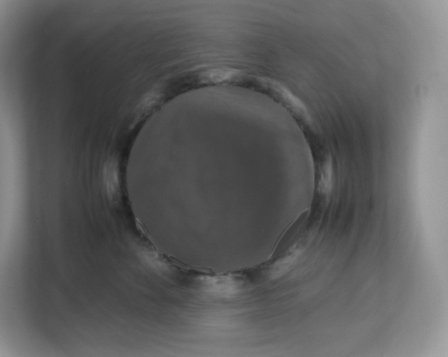 X0000112470524200909141121
