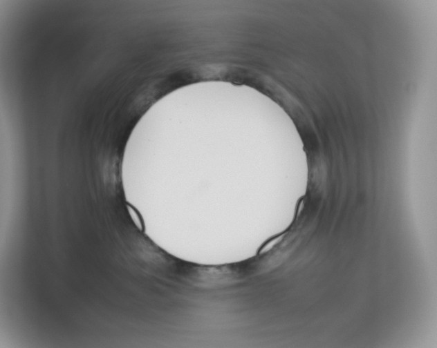 X0000112470525200909141121