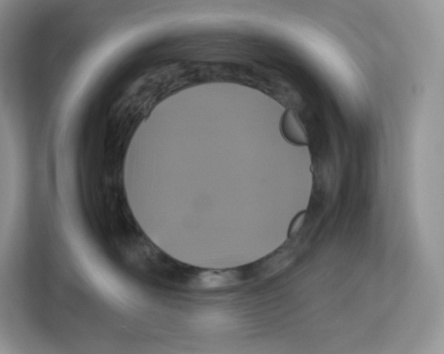 X0000112470526200909141121