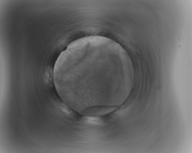 X0000112470528200909141121