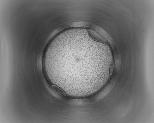X0000112470530200909141120