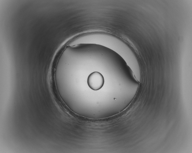 X0000112470532200909141120