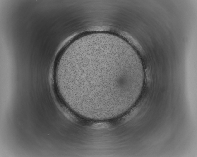 X0000112470536200909141120