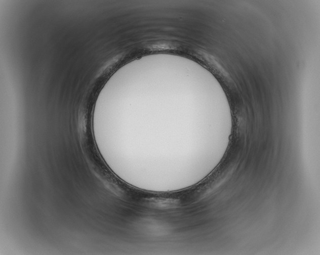 X0000112470539200909141120