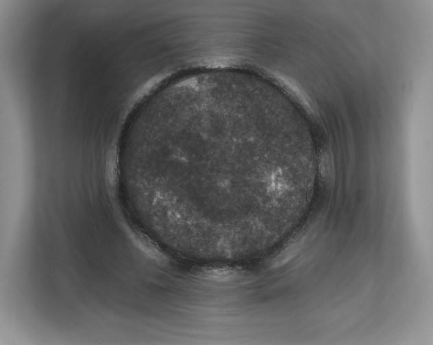 X0000112470540200909141120