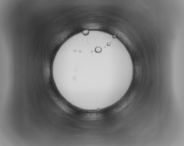X0000112470541200909141120
