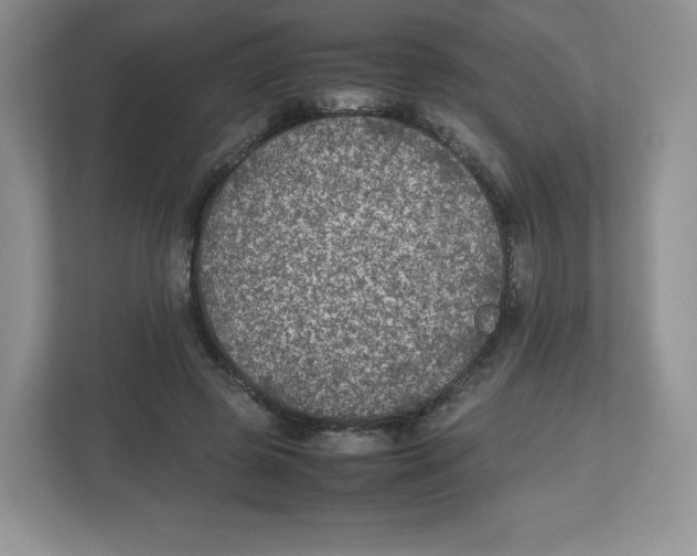 X0000112470545200909141120