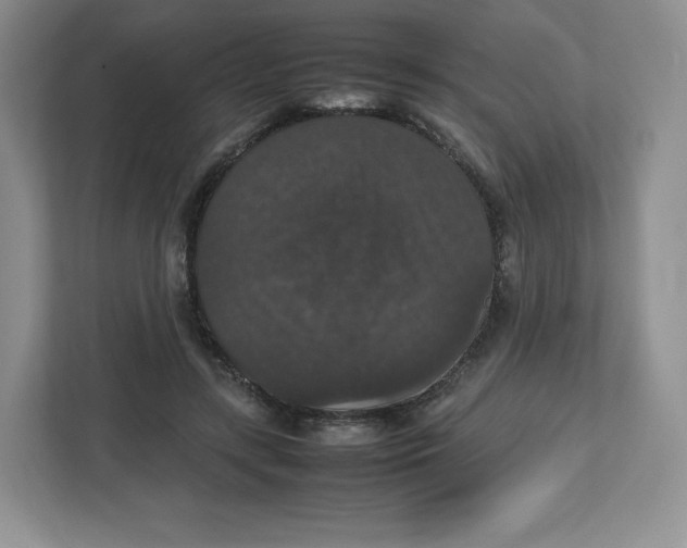 X0000112470547200909141120
