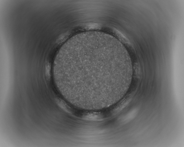 X0000112470550200909141120