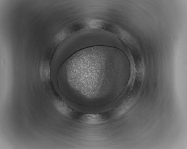 X0000112470552200909141120