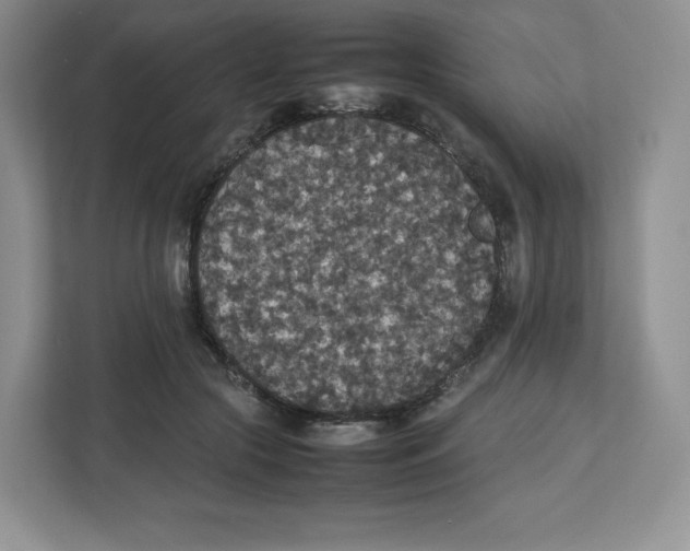 X0000112470553200909141120