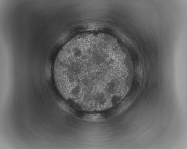 X0000112470554200909141120