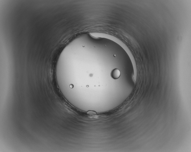 X0000112470558200909141120