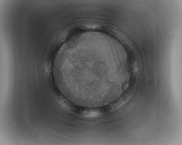 X0000112470559200909141120
