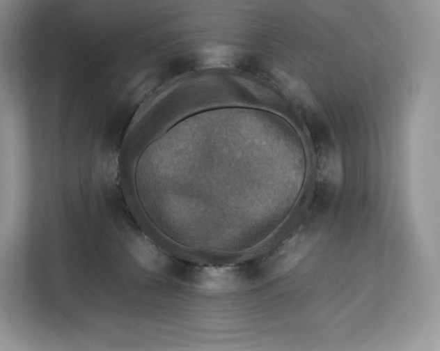 X0000112470560200909141120