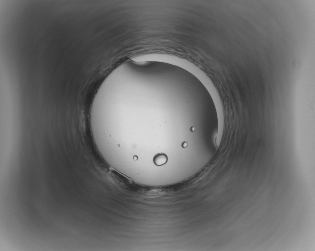X0000112470562200909141120