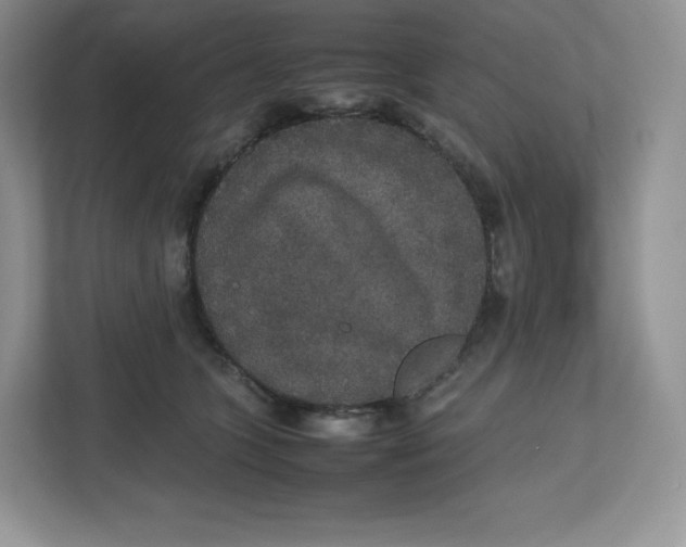 X0000112470563200909141120