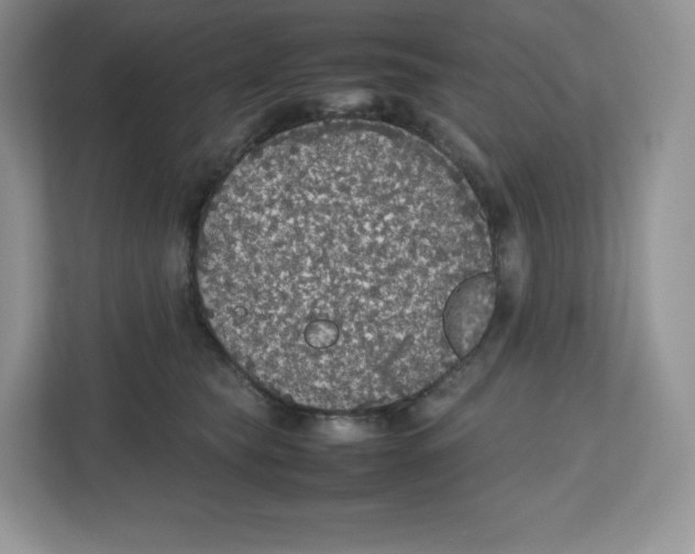 X0000112470565200909141121