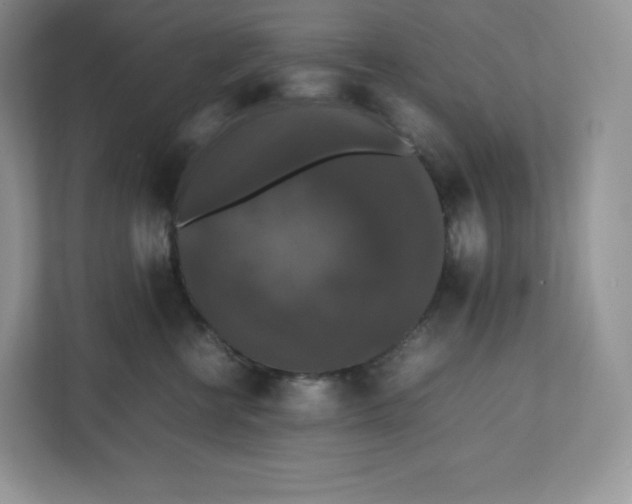 X0000112470570200909141121