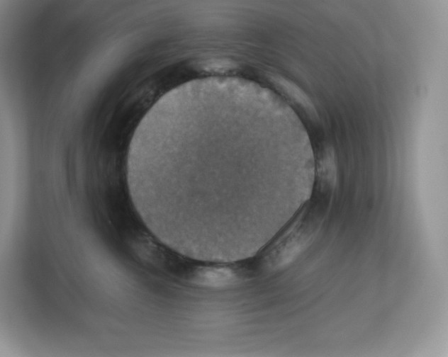 X0000112470572200909141121