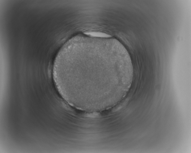 X0000112470576200909141121