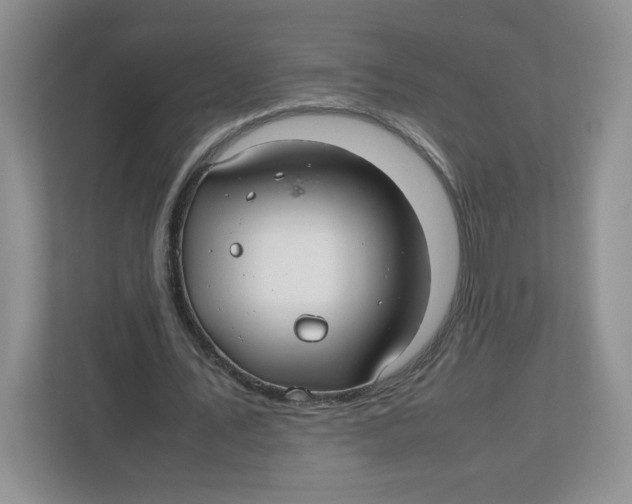 X0000112470579200909141120