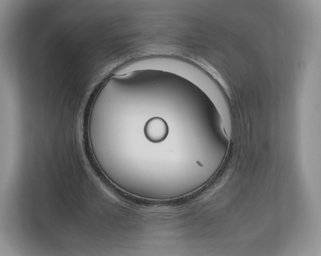 X0000112470581200909141120